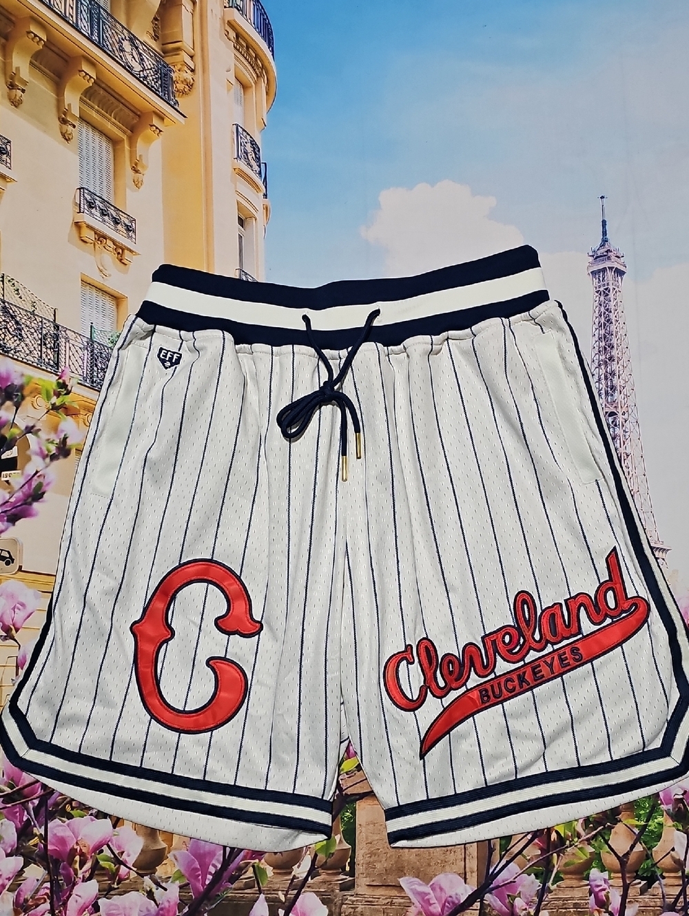 Cleveland Buckeyes Negro League Pinstripe Shorts Size Medium